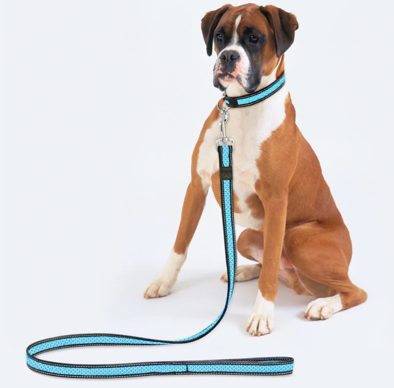 Dog Leash & Collar Products supplier in China | iLanyardmfg.com